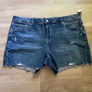 Denim Distressed Women's Shorts
